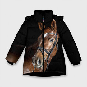 Зимняя куртка для девочек 3D с принтом Гнедая лошадь в Курске, ткань верха — 100% полиэстер; подклад — 100% полиэстер, утеплитель — 100% полиэстер. | длина ниже бедра, удлиненная спинка, воротник стойка и отстегивающийся капюшон. Есть боковые карманы с листочкой на кнопках, утяжки по низу изделия и внутренний карман на молнии. 

Предусмотрены светоотражающий принт на спинке, радужный светоотражающий элемент на пуллере молнии и на резинке для утяжки. | animal | beautiful | black | brown | eyes | gloss | horse | look | muscles | muzzle | portrait | взгляд | глаза | гнедая | животное | конь | коричневый | красивый | лоск | лошадь | мускулы | портрет | скакун | черный