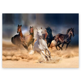Поздравительная открытка с принтом Табун в Курске, 100% бумага | плотность бумаги 280 г/м2, матовая, на обратной стороне линовка и место для марки
 | Тематика изображения на принте: animal | beautiful | black | brown | desert | gloss | herd | horse | mane | mustang | muzzle | nature | sand | white | wild | белый | грива | дикий | животное | конь | коричневый | красивый | лоск | лошадь | мустанг | песок | природа | пусты