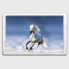 Магнит 45*70 с принтом Белая лошадь в Курске, Пластик | Размер: 78*52 мм; Размер печати: 70*45 | animal | beautiful | gloss | horse | mane | mustang | muzzle | nature | snow | white | wild | winter | белый | грива | дикий | животное | зима | конь | красивый | лоск | лошадь | мустанг | природа | скакун | снег