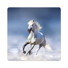 Магнит виниловый Квадрат с принтом Белая лошадь в Курске, полимерный материал с магнитным слоем | размер 9*9 см, закругленные углы | animal | beautiful | gloss | horse | mane | mustang | muzzle | nature | snow | white | wild | winter | белый | грива | дикий | животное | зима | конь | красивый | лоск | лошадь | мустанг | природа | скакун | снег