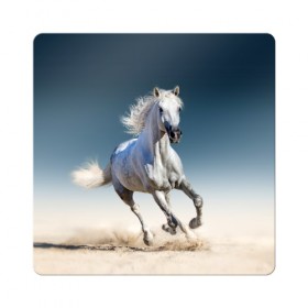 Магнит виниловый Квадрат с принтом Серый в яблоках конь в Курске, полимерный материал с магнитным слоем | размер 9*9 см, закругленные углы | Тематика изображения на принте: animal | beautiful | black | eyes | gloss | gray | harness | horse | in apples | look | muzzle | spotted | white | белый | в яблоках | взгляд | глаза | животное | конь | красивый | лоск | лошадь | пятнистый | сбруя | серый | скакун