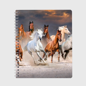 Тетрадь с принтом Табун в Курске, 100% бумага | 48 листов, плотность листов — 60 г/м2, плотность картонной обложки — 250 г/м2. Листы скреплены сбоку удобной пружинной спиралью. Уголки страниц и обложки скругленные. Цвет линий — светло-серый
 | Тематика изображения на принте: animal | beautiful | black | brown | desert | gloss | herd | horse | mane | mustang | muzzle | nature | sand | white | wild | белый | грива | дикий | животное | конь | коричневый | красивый | лоск | лошадь | мустанг | песок | природа | пусты