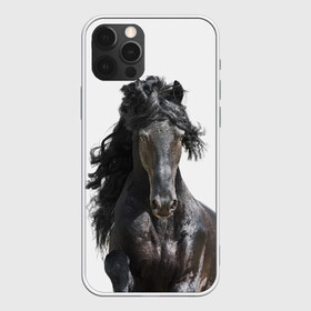 Чехол для iPhone 12 Pro Max с принтом Лошадь в Курске, Силикон |  | Тематика изображения на принте: animal | beautiful | black | horse | mane | mustang | muzzle | wild | грива | дикий | животное | конь | красивый | лошадь | мустанг | скакун | черный