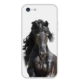Чехол для iPhone 5/5S матовый с принтом Лошадь в Курске, Силикон | Область печати: задняя сторона чехла, без боковых панелей | animal | beautiful | black | horse | mane | mustang | muzzle | wild | грива | дикий | животное | конь | красивый | лошадь | мустанг | скакун | черный