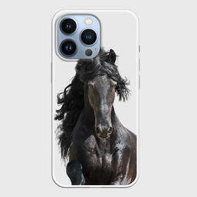 Чехол для iPhone 13 Pro с принтом Лошадь в Курске,  |  | animal | beautiful | black | horse | mane | mustang | muzzle | wild | грива | дикий | животное | конь | красивый | лошадь | мустанг | скакун | черный