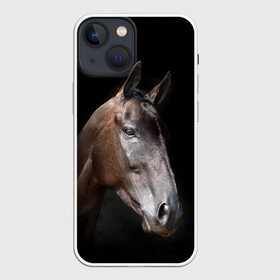 Чехол для iPhone 13 mini с принтом Лошадь в Курске,  |  | animal | beautiful | black | brown | horse | muzzle | portrait | животное | конь | коричневый | красивый | лошадь | портрет | скакун | черный