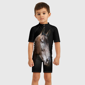 Детский купальный костюм 3D с принтом Лошадь в Курске, Полиэстер 85%, Спандекс 15% | застежка на молнии на спине | animal | beautiful | black | brown | horse | muzzle | portrait | животное | конь | коричневый | красивый | лошадь | портрет | скакун | черный