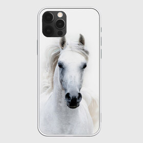 Чехол для iPhone 12 Pro Max с принтом Белая лошадь в Курске, Силикон |  | Тематика изображения на принте: animal | beautiful | gloss | horse | mane | mustang | muzzle | white | wild | белый | грива | дикий | животное | конь | красивый | лоск | лошадь | мустанг | скакун