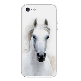 Чехол для iPhone 5/5S матовый с принтом Белая лошадь в Курске, Силикон | Область печати: задняя сторона чехла, без боковых панелей | animal | beautiful | gloss | horse | mane | mustang | muzzle | white | wild | белый | грива | дикий | животное | конь | красивый | лоск | лошадь | мустанг | скакун