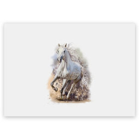 Поздравительная открытка с принтом Белая лошадь в Курске, 100% бумага | плотность бумаги 280 г/м2, матовая, на обратной стороне линовка и место для марки
 | animal | beautiful | drawing | horse | mane | muzzle | nature | white | wild | белый | грива | дикий | животное | конь | красивый | лошадь | природа | рисунок | скакун