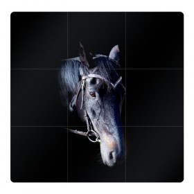 Магнитный плакат 3Х3 с принтом Конь вороной в Курске, Полимерный материал с магнитным слоем | 9 деталей размером 9*9 см | Тематика изображения на принте: animal | beautiful | black | eyes | gloss | hairstyle | harness | horse | look | muzzle | взгляд | вороной | глаза | животное | конь | красивый | лоск | лошадь | прическа | сбруя | скакун | черный