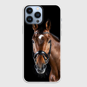 Чехол для iPhone 13 Pro Max с принтом Гнедая лошадь в Курске,  |  | animal | beautiful | black | brown | eyes | gloss | harness | horse | look | muzzle | взгляд | глаза | гнедая | животное | конь | коричневый | красивый | лоск | лошадь | сбруя | скакун | черный