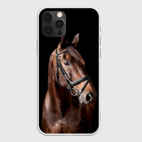 Чехол для iPhone 12 Pro Max с принтом Гнедая лошадь в Курске, Силикон |  | animal | beautiful | black | brown | eyes | gloss | harness | horse | look | muzzle | взгляд | глаза | гнедая | животное | конь | коричневый | красивый | лоск | лошадь | сбруя | скакун | черный