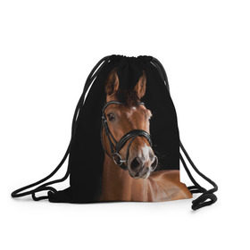 Рюкзак-мешок 3D с принтом Гнедая лошадь в Курске, 100% полиэстер | плотность ткани — 200 г/м2, размер — 35 х 45 см; лямки — толстые шнурки, застежка на шнуровке, без карманов и подкладки | animal | beautiful | black | brown | eyes | gloss | harness | horse | look | muzzle | взгляд | глаза | гнедая | животное | конь | коричневый | красивый | лоск | лошадь | сбруя | скакун | черный