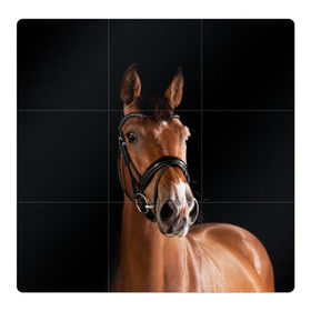 Магнитный плакат 3Х3 с принтом Гнедая лошадь в Курске, Полимерный материал с магнитным слоем | 9 деталей размером 9*9 см | animal | beautiful | black | brown | eyes | gloss | harness | horse | look | muzzle | взгляд | глаза | гнедая | животное | конь | коричневый | красивый | лоск | лошадь | сбруя | скакун | черный