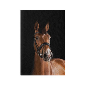 Обложка для паспорта матовая кожа с принтом Гнедая лошадь в Курске, натуральная матовая кожа | размер 19,3 х 13,7 см; прозрачные пластиковые крепления | Тематика изображения на принте: animal | beautiful | black | brown | eyes | gloss | harness | horse | look | muzzle | взгляд | глаза | гнедая | животное | конь | коричневый | красивый | лоск | лошадь | сбруя | скакун | черный