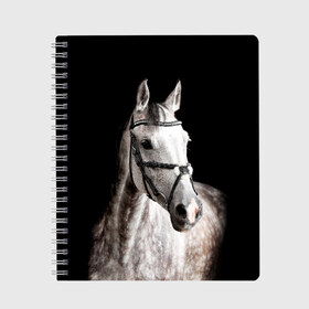 Тетрадь с принтом Серный в яблоках конь в Курске, 100% бумага | 48 листов, плотность листов — 60 г/м2, плотность картонной обложки — 250 г/м2. Листы скреплены сбоку удобной пружинной спиралью. Уголки страниц и обложки скругленные. Цвет линий — светло-серый
 | animal | beautiful | black | eyes | gloss | harness | horse | look | muzzle | spotted | white | белый | в яблоках | взгляд | глаза | животное | конь | красивый | лоск | лошадь | пятнистый | сбруя | серый | скакун | черный