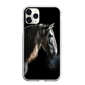 Чехол для iPhone 11 Pro матовый с принтом Серный в яблоках конь в Курске, Силикон |  | animal | beautiful | black | eyes | gloss | harness | horse | look | muzzle | portrait | в яблоках | взгляд | глаза | животное | конь | красивый | лоск | лошадь | портрет | сбруя | серый | скакун