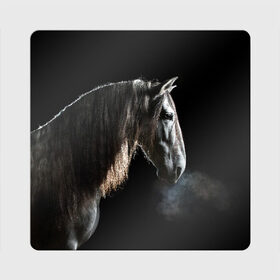 Магнит виниловый Квадрат с принтом Серный в яблоках конь в Курске, полимерный материал с магнитным слоем | размер 9*9 см, закругленные углы | animal | beautiful | black | eyes | gloss | harness | horse | look | muzzle | portrait | в яблоках | взгляд | глаза | животное | конь | красивый | лоск | лошадь | портрет | сбруя | серый | скакун