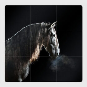 Магнитный плакат 3Х3 с принтом Серный в яблоках конь в Курске, Полимерный материал с магнитным слоем | 9 деталей размером 9*9 см | Тематика изображения на принте: animal | beautiful | black | eyes | gloss | harness | horse | look | muzzle | portrait | в яблоках | взгляд | глаза | животное | конь | красивый | лоск | лошадь | портрет | сбруя | серый | скакун
