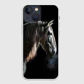 Чехол для iPhone 13 mini с принтом Серный в яблоках конь в Курске,  |  | animal | beautiful | black | eyes | gloss | harness | horse | look | muzzle | portrait | в яблоках | взгляд | глаза | животное | конь | красивый | лоск | лошадь | портрет | сбруя | серый | скакун