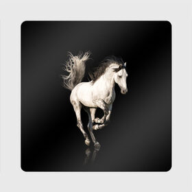 Магнит виниловый Квадрат с принтом Серный в яблоках конь в Курске, полимерный материал с магнитным слоем | размер 9*9 см, закругленные углы | animal | beautiful | black | gloss | horse | mane | mustang | muzzle | white | wild | белый | в яблоках | грива | дикий | животное | конь | красивый | лоск | лошадь | мустанг | серый | скакун | черный
