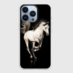 Чехол для iPhone 13 Pro с принтом Серный в яблоках конь в Курске,  |  | animal | beautiful | black | gloss | horse | mane | mustang | muzzle | white | wild | белый | в яблоках | грива | дикий | животное | конь | красивый | лоск | лошадь | мустанг | серый | скакун | черный