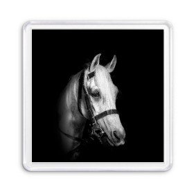 Магнит 55*55 с принтом Белая лошадь в Курске, Пластик | Размер: 65*65 мм; Размер печати: 55*55 мм | animal | beautiful | black | eyes | gloss | harness | horse | look | muzzle | white | белый | взгляд | глаза | животное | конь | красивый | лоск | лошадь | сбруя | скакун