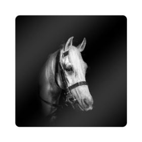 Магнит виниловый Квадрат с принтом Белая лошадь в Курске, полимерный материал с магнитным слоем | размер 9*9 см, закругленные углы | animal | beautiful | black | eyes | gloss | harness | horse | look | muzzle | white | белый | взгляд | глаза | животное | конь | красивый | лоск | лошадь | сбруя | скакун