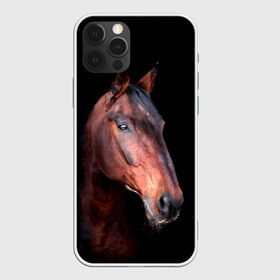 Чехол для iPhone 12 Pro Max с принтом Гнедая лошадь в Курске, Силикон |  | animal | beautiful | black | brown | chocolate | eyes | gloss | horse | look | muzzle | portrait | взгляд | глаза | животное | конь | коричневый | красивый | лоск | лошадь | портрет | скакун | черный | шоколадный