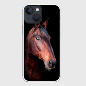 Чехол для iPhone 13 mini с принтом Гнедая лошадь в Курске,  |  | animal | beautiful | black | brown | chocolate | eyes | gloss | horse | look | muzzle | portrait | взгляд | глаза | животное | конь | коричневый | красивый | лоск | лошадь | портрет | скакун | черный | шоколадный