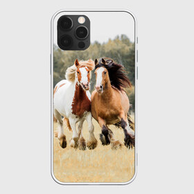 Чехол для iPhone 12 Pro Max с принтом Лошади в Курске, Силикон |  | animal | free | horse | mane | nature | pair | polish | wild | грива | дикий | животное | конь | лоск | лошадь | пара | природа | свободный | скакун