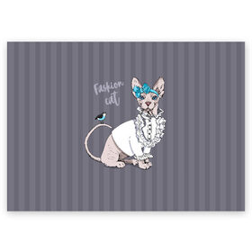 Поздравительная открытка с принтом Fashion cat в Курске, 100% бумага | плотность бумаги 280 г/м2, матовая, на обратной стороне линовка и место для марки
 | bird | bow | breed | cat | glamor | look | muzzle | sphinx | style | tail | бант | взгляд | гламур | кошка | порода | птица | стиль | сфинкс | хвост