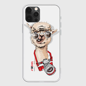 Чехол для iPhone 12 Pro Max с принтом #NoDrama в Курске, Силикон |  | alpaca | animal | camera | cool | drama | hashtag | head | inscription | llama | look | nodrama | photographer | альпака | взгляд | голова | драма | животное | камера | лама | надпись | очки | прикольный | фотоаппарат | фотограф | хэштег