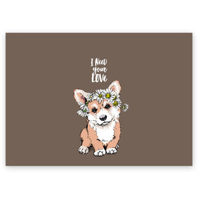 Поздравительная открытка с принтом I need your love в Курске, 100% бумага | плотность бумаги 280 г/м2, матовая, на обратной стороне линовка и место для марки
 | Тематика изображения на принте: animal | breed | chamomile | cute | dog | flowers | funny | i need your love | inscription | puppy | welsh corgi pembroke | вельш корги пемброк | животное | забавный | любовь | милый | мне нужна твоя любовь | надпись | порода | ромашки | собака | цв