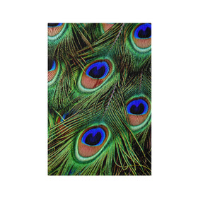 Обложка для паспорта матовая кожа с принтом Перья павлина #1 в Курске, натуральная матовая кожа | размер 19,3 х 13,7 см; прозрачные пластиковые крепления | Тематика изображения на принте: animal | bird | peacock feathers | животные | павлин | перо. | перья | птица