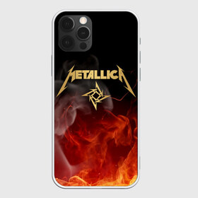 Чехол для iPhone 12 Pro Max с принтом METALLICA в Курске, Силикон |  | metallica | rock | джеймс хэтфилд | джейсон ньюстед | дэйв мастейн | кирк хэмметт | клифф бёртон | ларс ульрих | металлика | музыка | роберт трухильо | рок