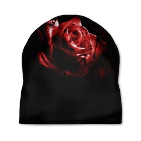 Шапка 3D с принтом Кровавая роза в Курске, 100% полиэстер | универсальный размер, печать по всей поверхности изделия | брызги | кровавая роза | кровь | роза | цветы