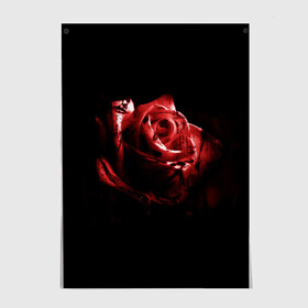Постер с принтом Кровавая роза в Курске, 100% бумага
 | бумага, плотность 150 мг. Матовая, но за счет высокого коэффициента гладкости имеет небольшой блеск и дает на свету блики, но в отличии от глянцевой бумаги не покрыта лаком | брызги | кровавая роза | кровь | роза | цветы