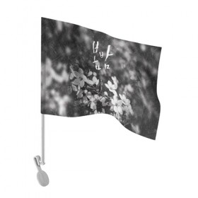 Флаг для автомобиля с принтом Весенняя ночь 2019 в Курске, 100% полиэстер | Размер: 30*21 см | весеняяночь | героисериалов | дорама | кимчжунхан | корейский | корейскийсериал | сериал | ханджимин