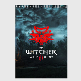 Скетчбук с принтом THE WITCHER 3WILD HUNT в Курске, 100% бумага
 | 48 листов, плотность листов — 100 г/м2, плотность картонной обложки — 250 г/м2. Листы скреплены сверху удобной пружинной спиралью | cd projekt red | ciri | game | geralt | geralt of rivia | gwynbleidd | the witcher | the witcher 3: wild hunt | ведьмак | ведьмак 3: дикая охота | геральт | геральт из ривии | цири | цирилла