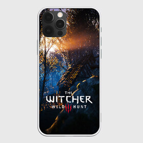 Чехол для iPhone 12 Pro Max с принтом THE WITCHER 3WILD HUNT в Курске, Силикон |  | cd projekt red | ciri | game | geralt | geralt of rivia | gwynbleidd | the witcher | the witcher 3: wild hunt | ведьмак | ведьмак 3: дикая охота | геральт | геральт из ривии | цири | цирилла