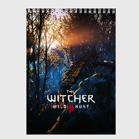 Скетчбук с принтом THE WITCHER 3WILD HUNT в Курске, 100% бумага
 | 48 листов, плотность листов — 100 г/м2, плотность картонной обложки — 250 г/м2. Листы скреплены сверху удобной пружинной спиралью | cd projekt red | ciri | game | geralt | geralt of rivia | gwynbleidd | the witcher | the witcher 3: wild hunt | ведьмак | ведьмак 3: дикая охота | геральт | геральт из ривии | цири | цирилла