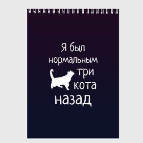 Скетчбук с принтом Я был в норме три кота назад в Курске, 100% бумага
 | 48 листов, плотность листов — 100 г/м2, плотность картонной обложки — 250 г/м2. Листы скреплены сверху удобной пружинной спиралью | Тематика изображения на принте: cats | normal | жизненно | жизнь | котики | коты | котэ | кошатник | кошатница | кошка | кошки | нормальный