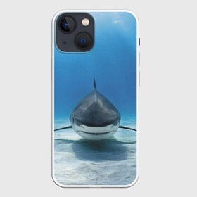 Чехол для iPhone 13 mini с принтом Анфас в Курске,  |  | bottom | fin | full face | jaw | ocean | sand | shark | water | акула | анфас | вода | дно | океан | песок | плавник