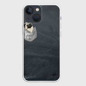 Чехол для iPhone 13 mini с принтом Карманный мопс в Курске,  |  | Тематика изображения на принте: pug | карман | карманный мопс | малыш | милый | мопс | пес | песик | собака | собачка