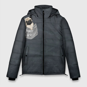 Мужская зимняя куртка 3D с принтом Карманный мопс в Курске, верх — 100% полиэстер; подкладка — 100% полиэстер; утеплитель — 100% полиэстер | длина ниже бедра, свободный силуэт Оверсайз. Есть воротник-стойка, отстегивающийся капюшон и ветрозащитная планка. 

Боковые карманы с листочкой на кнопках и внутренний карман на молнии. | Тематика изображения на принте: pug | карман | карманный мопс | малыш | милый | мопс | пес | песик | собака | собачка