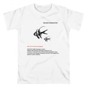 Мужская футболка хлопок с принтом Banggai Cardinalfish в Курске, 100% хлопок | прямой крой, круглый вырез горловины, длина до линии бедер, слегка спущенное плечо. | animals | red book | red list | животные | животные из красной книги | красная книга | редкие животные