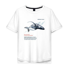 Мужская футболка хлопок Oversize с принтом Hampback whale в Курске, 100% хлопок | свободный крой, круглый ворот, “спинка” длиннее передней части | animals | red book | red list | животные | животные из красной книги | красная книга | редкие животные