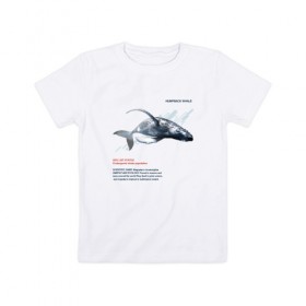 Детская футболка хлопок с принтом Hampback whale в Курске, 100% хлопок | круглый вырез горловины, полуприлегающий силуэт, длина до линии бедер | animals | red book | red list | животные | животные из красной книги | красная книга | редкие животные